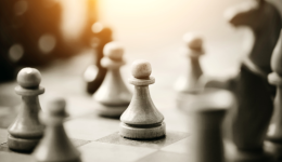 龙年奋进,蛇年启新:乐天2024年度盘点