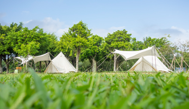 出海观察|全球草坪和花园市场分析及趋势预测