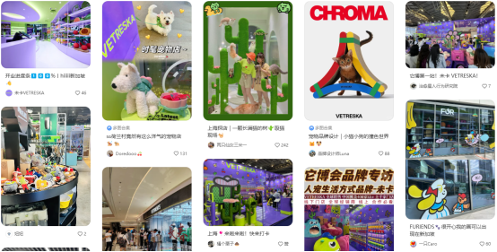 揭秘资本的宠儿：国产宠物品牌未卡如何撬动全球千亿市场！