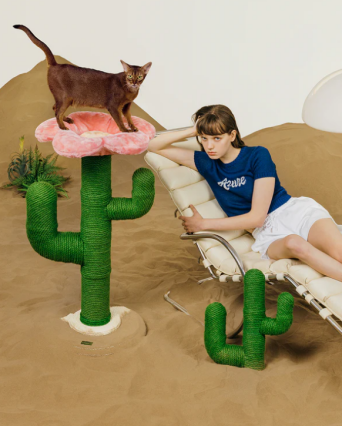 揭秘资本的宠儿：国产宠物品牌未卡如何撬动全球千亿市场！