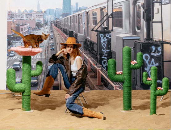 揭秘资本的宠儿：国产宠物品牌未卡如何撬动全球千亿市场！