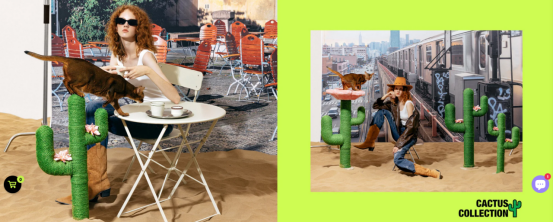 揭秘资本的宠儿：国产宠物品牌未卡如何撬动全球千亿市场！