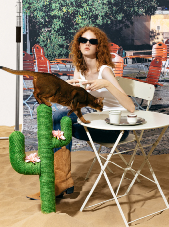 揭秘资本的宠儿：国产宠物品牌未卡如何撬动全球千亿市场！