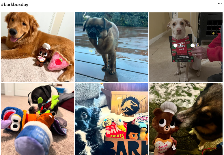 不卷人类专攻狗子！BarkBox靠「宠物盲盒」年入10亿美金的底层逻辑