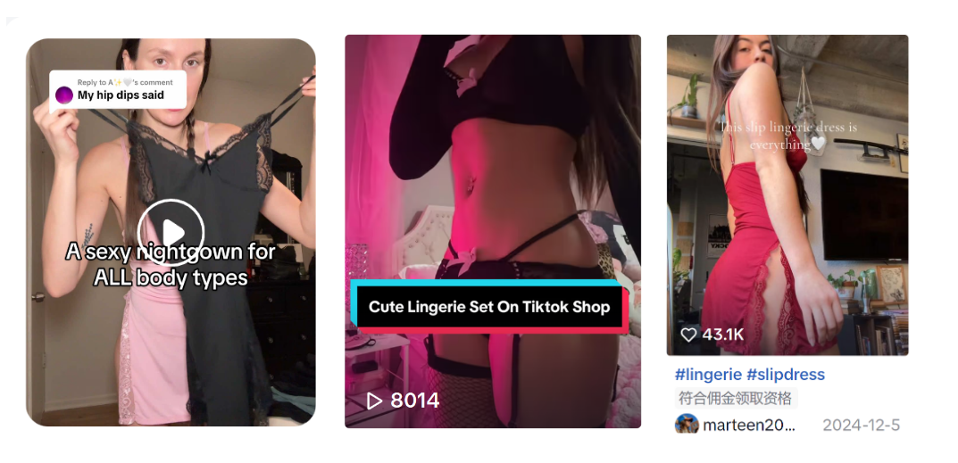 当智能情趣伴侣攻占TikTok，算法却还在假装“看不见”？