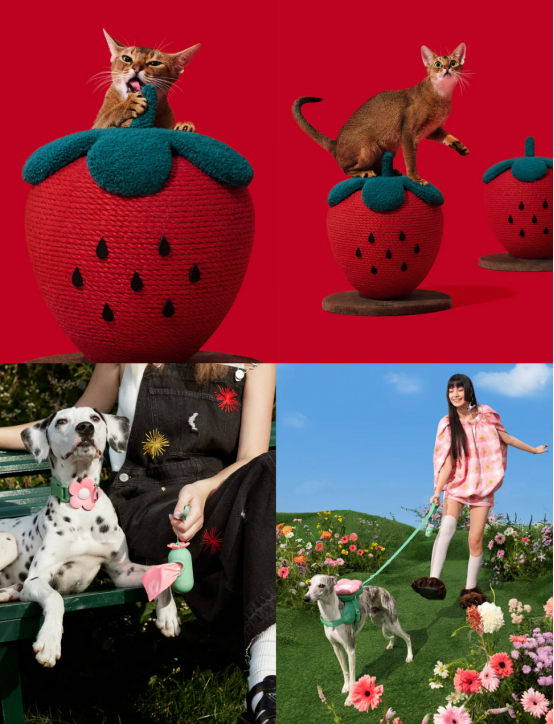 2月最美Shopify独立站大赏——产品图的魅力!