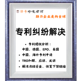 荣哥境外专利纠纷解决