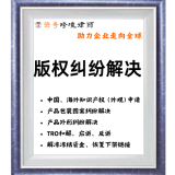 荣哥跨境版权纠纷解决