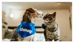 Chewy开放中国卖家入驻,掘金北美千亿宠物市场