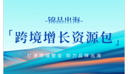 【跨境卖家必看】锦品出海跨境增长资源包:亚马逊+独立站+AI工具全链路指南,助你轻松爆单!