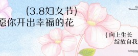 三八妇女节