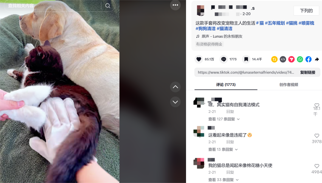 2元宠物湿巾TikTok爆单：利润超10倍，月赚百万的暴利密码