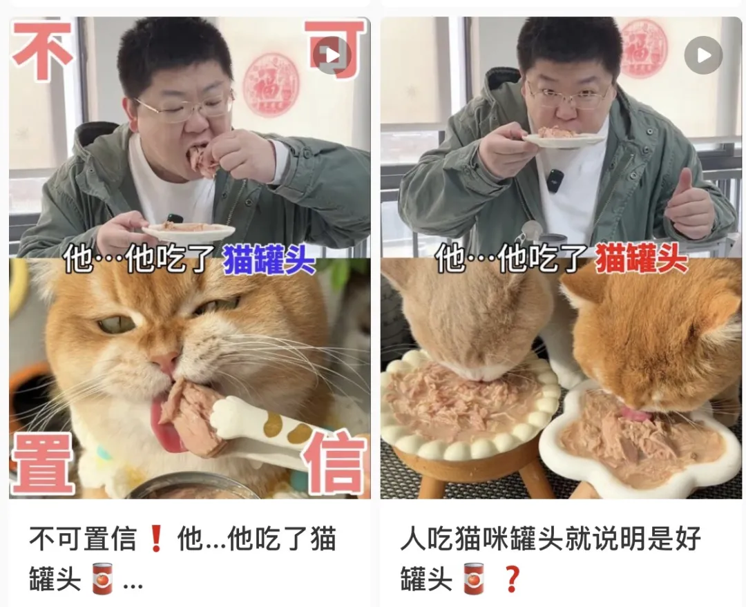 小紅書正式進(jìn)軍跨境電商，普通商家如何破局？