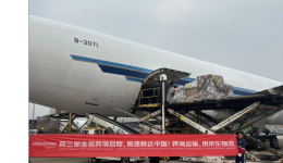 全程控溫2-8度，京東物流承運(yùn)荷蘭郁金香一路鮮美、“閃”到中國