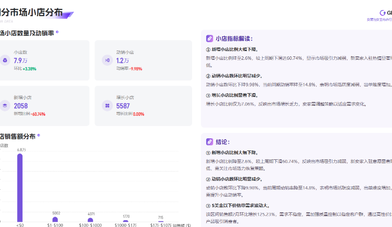 2025年2月女装与女士内衣行业:市场活力与竞争格局的深度剖析