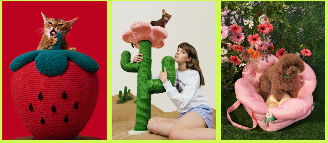 从中国到全球：宠物品牌两年卖出3000万美金，“它经济”爆火背后的财富密码