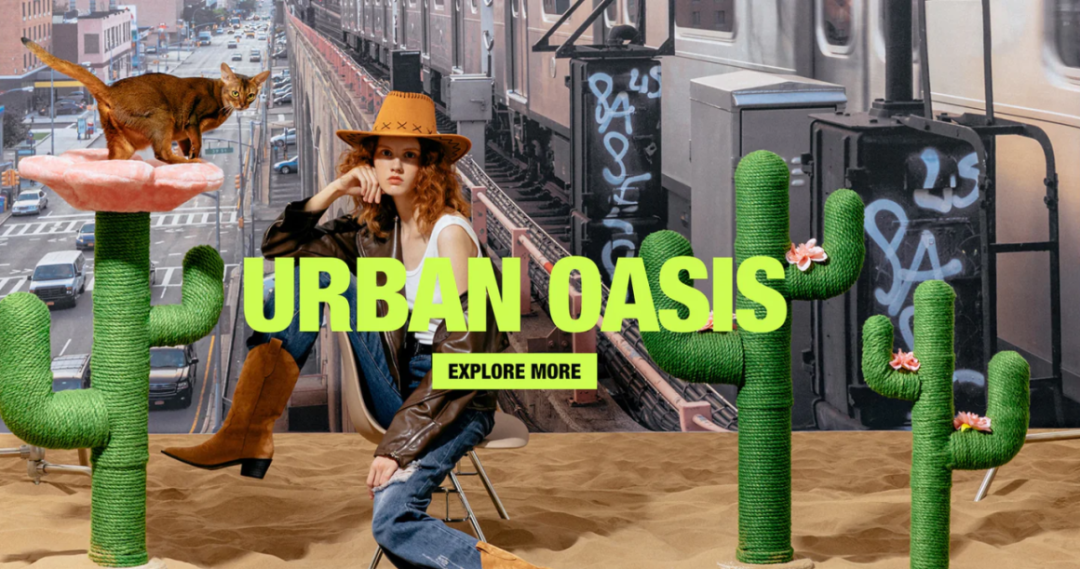 从中国到全球:宠物品牌两年卖出3000万美金,“它经济”爆火背后的财富密码