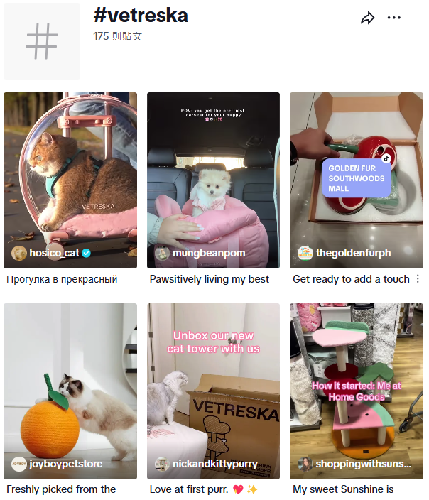 从中国到全球：宠物品牌两年卖出3000万美金，“它经济”爆火背后的财富密码