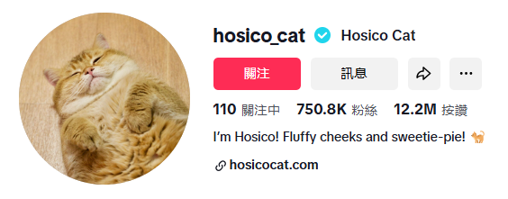 从中国到全球：宠物品牌两年卖出3000万美金，“它经济”爆火背后的财富密码