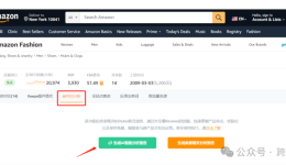 deepseek+卖家精灵一键智能分析亚马逊评论