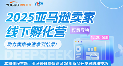 亚马逊旺季复盘及26年新品开发思路和技巧-2025亚马逊卖家线下孵化营【付费专场】