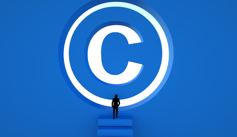 Temu入驻找平台申请和找服务商哪个好，Temu卖家如何选择