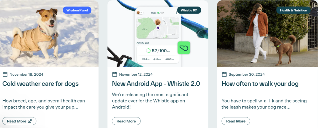宠物智能项圈掘金欧美：市值上亿美元，差异化策略曝光