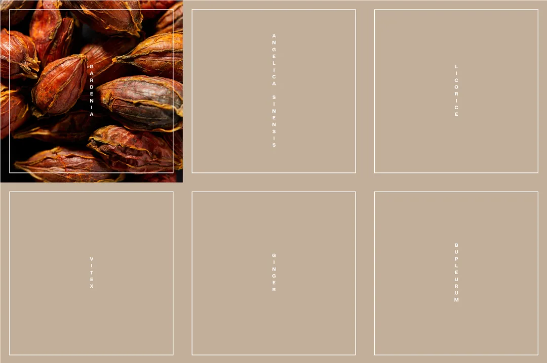 用中药治疗痛经，湖南华裔创立的品牌Elixhealing月入30万美元