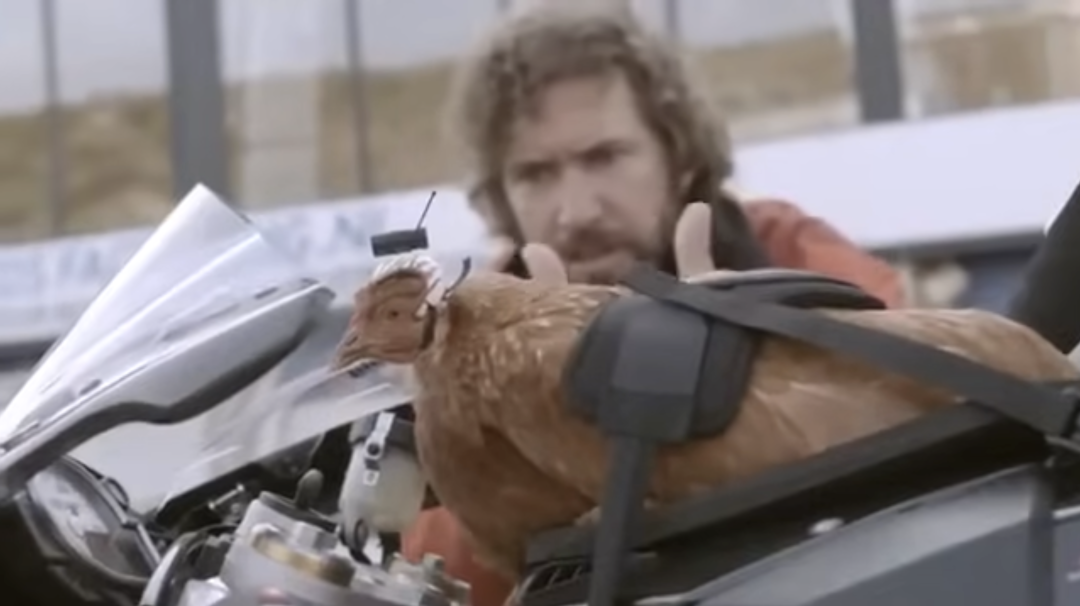 别不信！这些“奇葩”生意正在海外闷声发大财