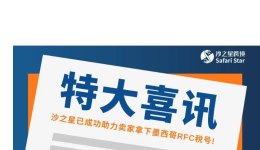 特大喜讯:沙之星跨境已成功助力卖家拿下墨西哥RFC税号!