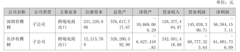 有棵树2024年亚马逊、Shopee等线上平台营收下滑23.2%，线下渠道开始发力