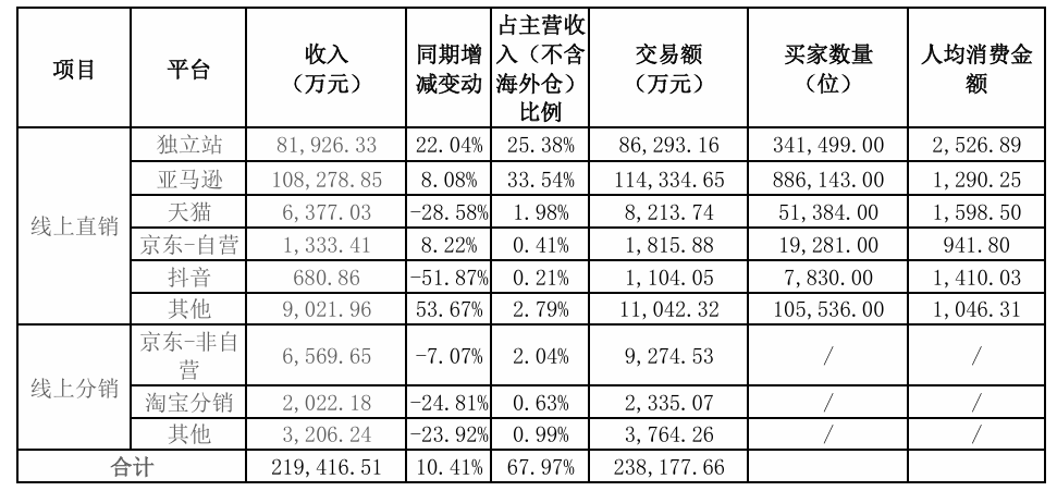 乐歌2024年独立站营收8.19亿元，增速赶超亚马逊！