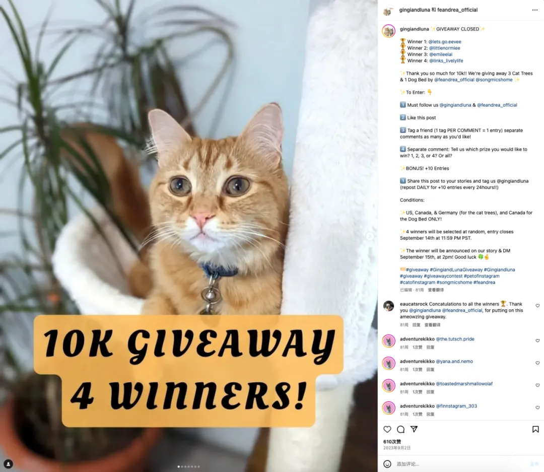 从德国出发，来自河南的品牌SONGMICS做成了“线上宜家”