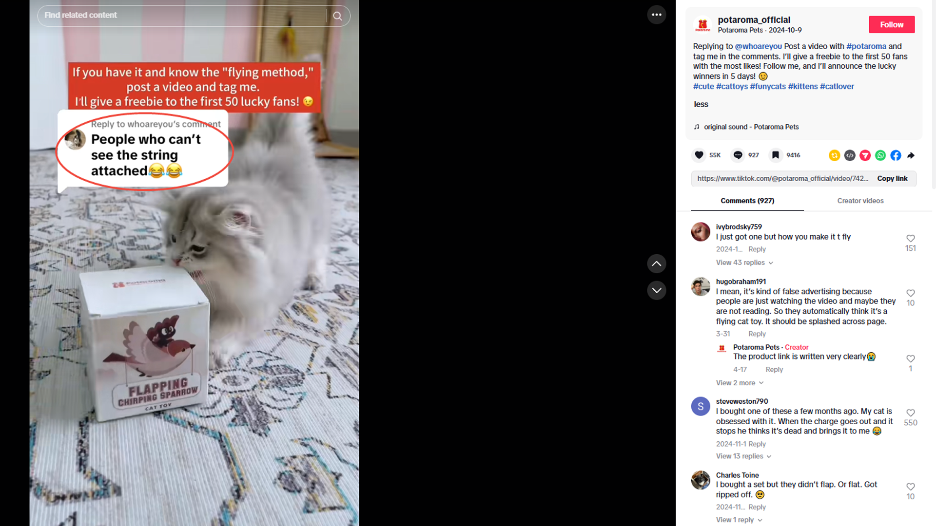 HaiMa红人营销|靠“会飞的”宠物玩具登顶TikTok类目榜首！一周售出千单！