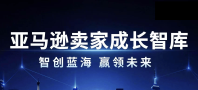 亚马逊卖家成长智库