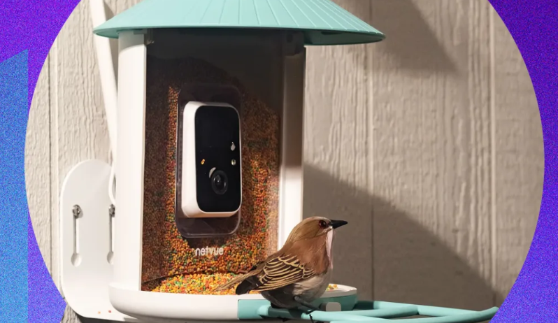 国产鸟窝Birdfy出海，单价高达199美元也能实现百万月销