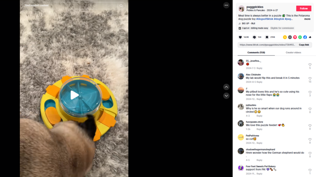宠物赛道红海厮杀？看这家品牌如何用TikTok7天逆袭销量190%！