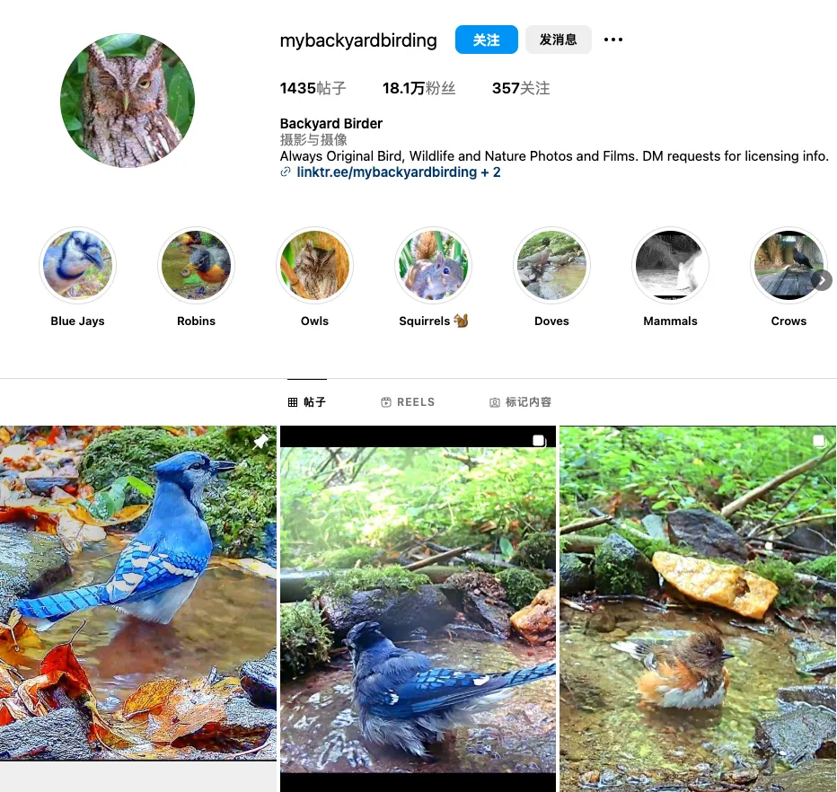 国产鸟窝Birdfy出海，单价高达199美元也能实现百万月销