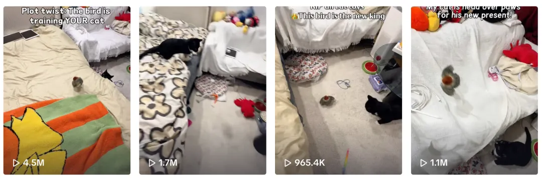 宠物赛道红海厮杀？看这家品牌如何用TikTok7天逆袭销量190%！