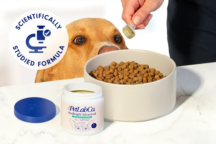 北美宠物主哭诉“抢不到”！冷门洁牙神器凭什么杀出重围，狂卖1万+单？