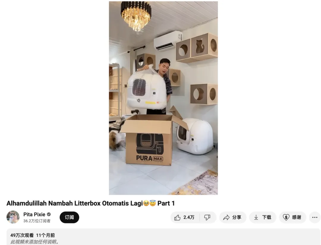 头部宠物出海品牌Furbo、Petkit和PetSnowy合作了哪些高性价比红人？