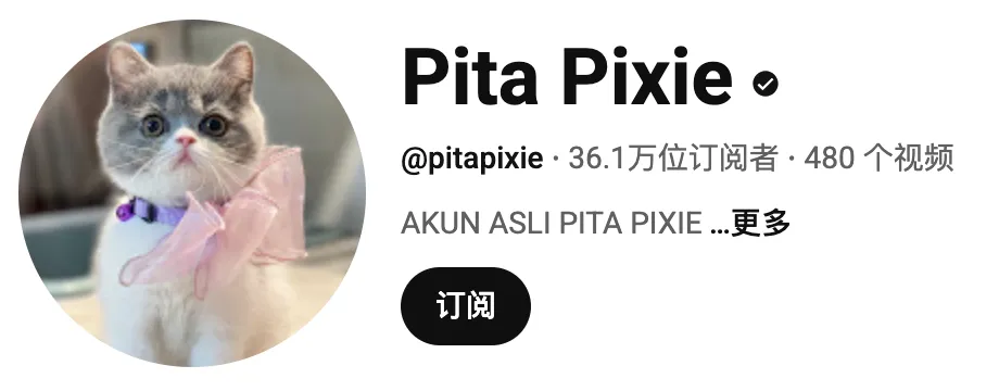 头部宠物出海品牌Furbo、Petkit和PetSnowy合作了哪些高性价比红人？