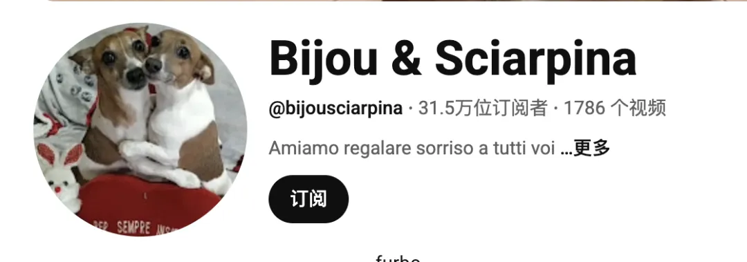 头部宠物出海品牌Furbo、Petkit和PetSnowy合作了哪些高性价比红人？