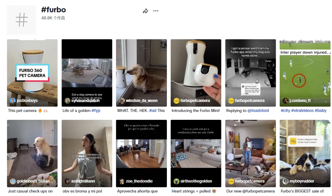 头部宠物出海品牌Furbo、Petkit和PetSnowy合作了哪些高性价比红人？