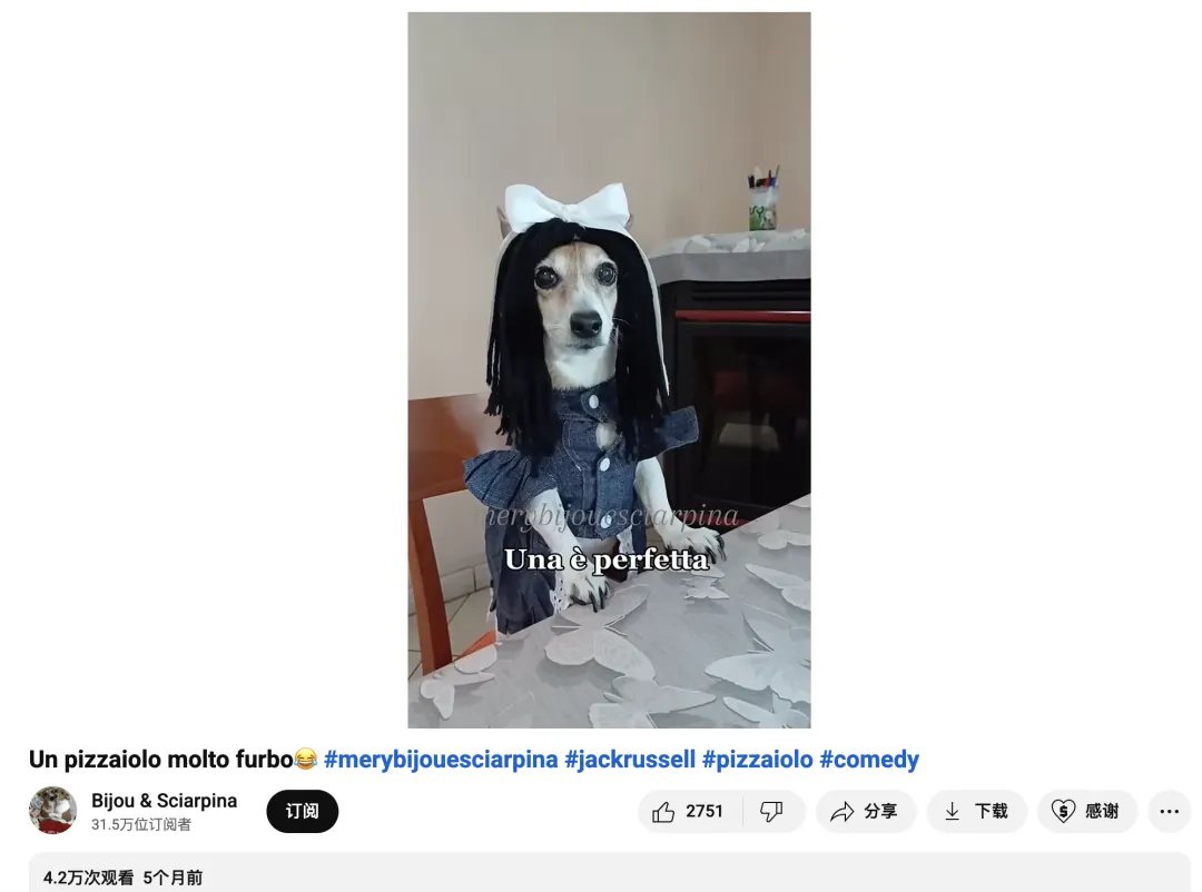 头部宠物出海品牌Furbo、Petkit和PetSnowy合作了哪些高性价比红人？