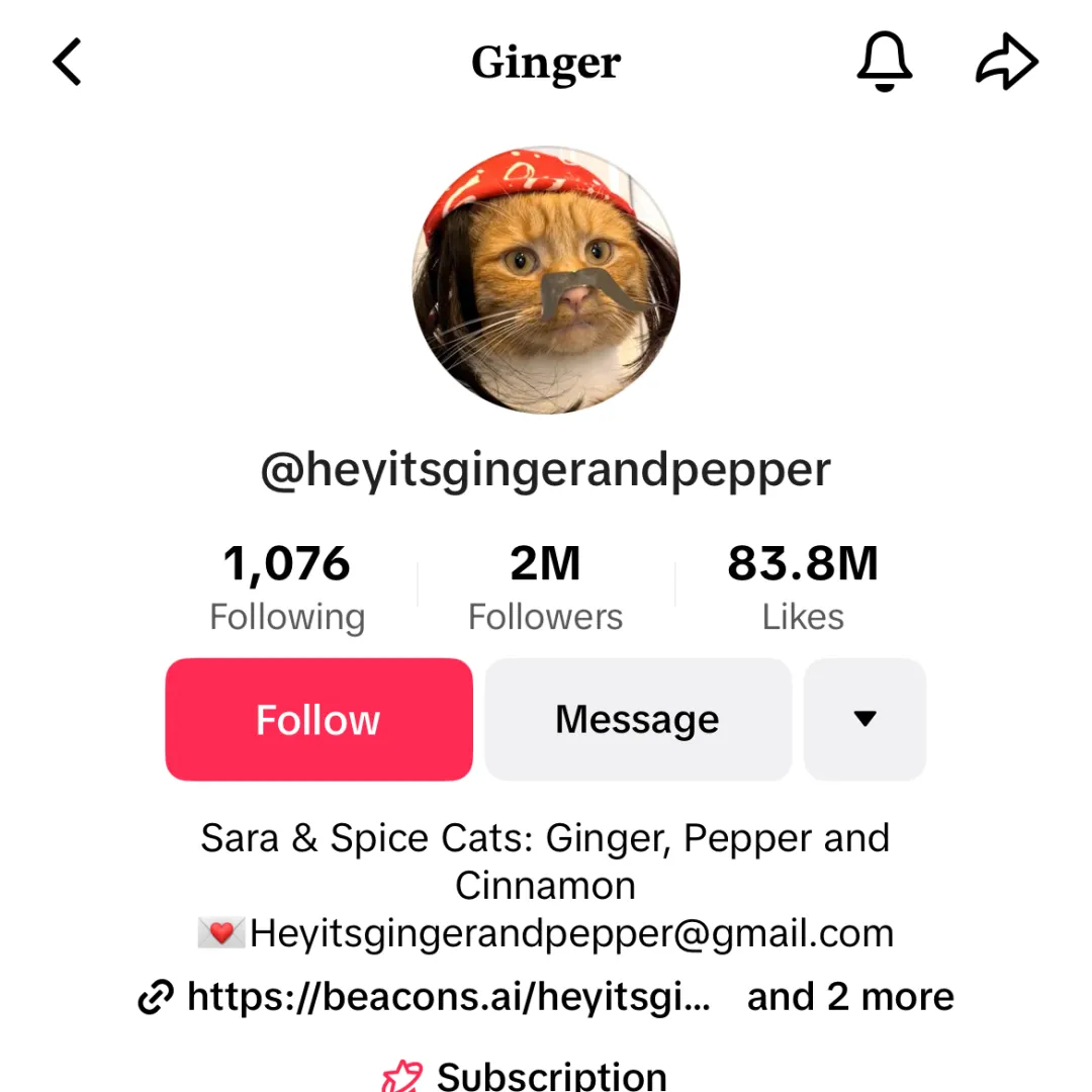 头部宠物出海品牌Furbo、Petkit和PetSnowy合作了哪些高性价比红人？