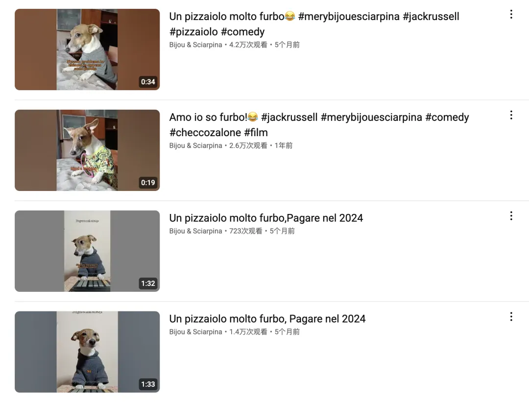 头部宠物出海品牌Furbo、Petkit和PetSnowy合作了哪些高性价比红人？