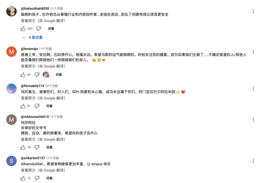 头部宠物出海品牌Furbo、Petkit和PetSnowy合作了哪些高性价比红人？