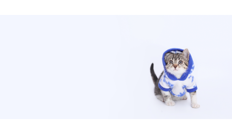 商家狂赚“情感税”，宠物出海还有冷门赛道？