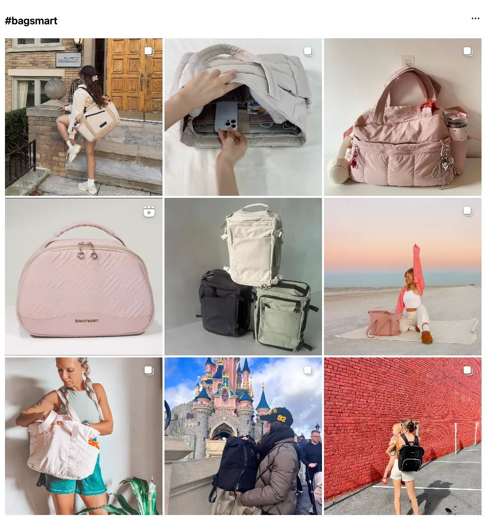 平均月销80万美元，在北美大卖的厦门箱包品牌Bagsmart